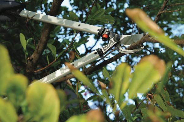 Stihl | Gardening Tools | Loppers for sale at Phillips Equipment Corp, Virginia Stihl | Gardening Tools | Loppers for sale at Phillips Equipment Corp, Virginia